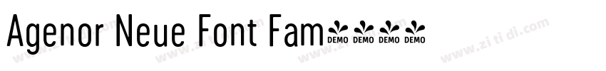 Agenor Neue Font Fam字体转换